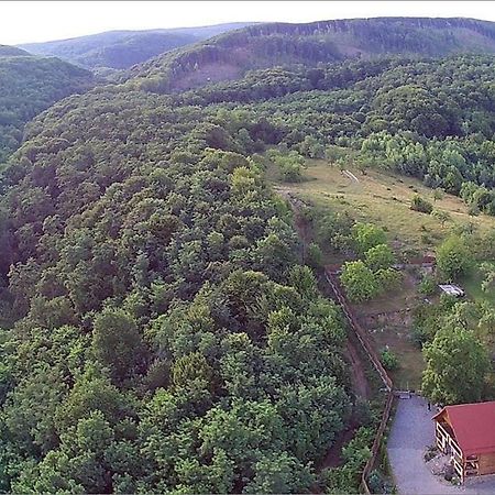 Творча Садиба Svaljava Eksteriør bilde